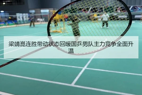 梁靖崑连胜带动状态回暖国乒男队主力竞争全面升温